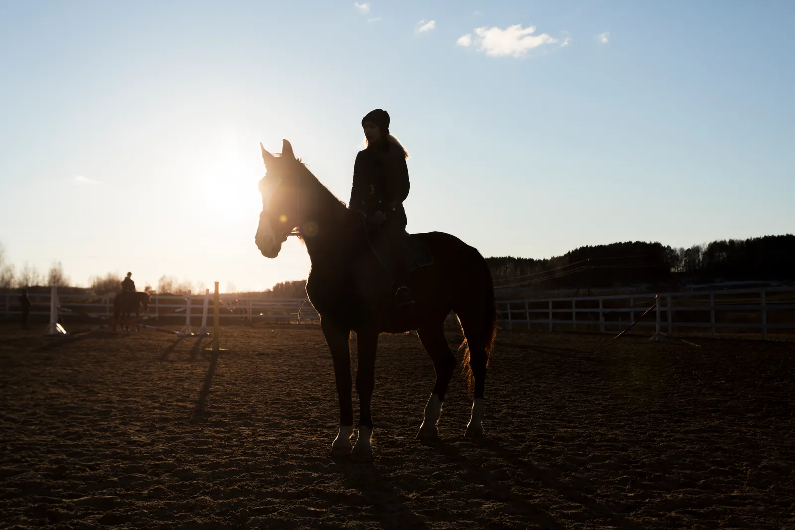 Caballo al amanecer