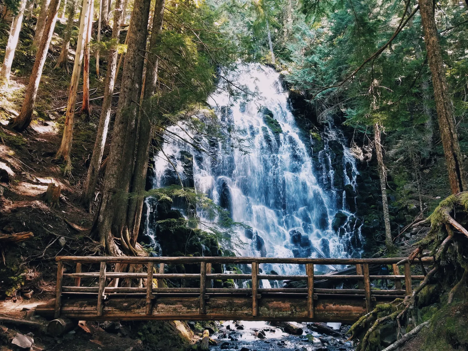 Cascada entre el bosque