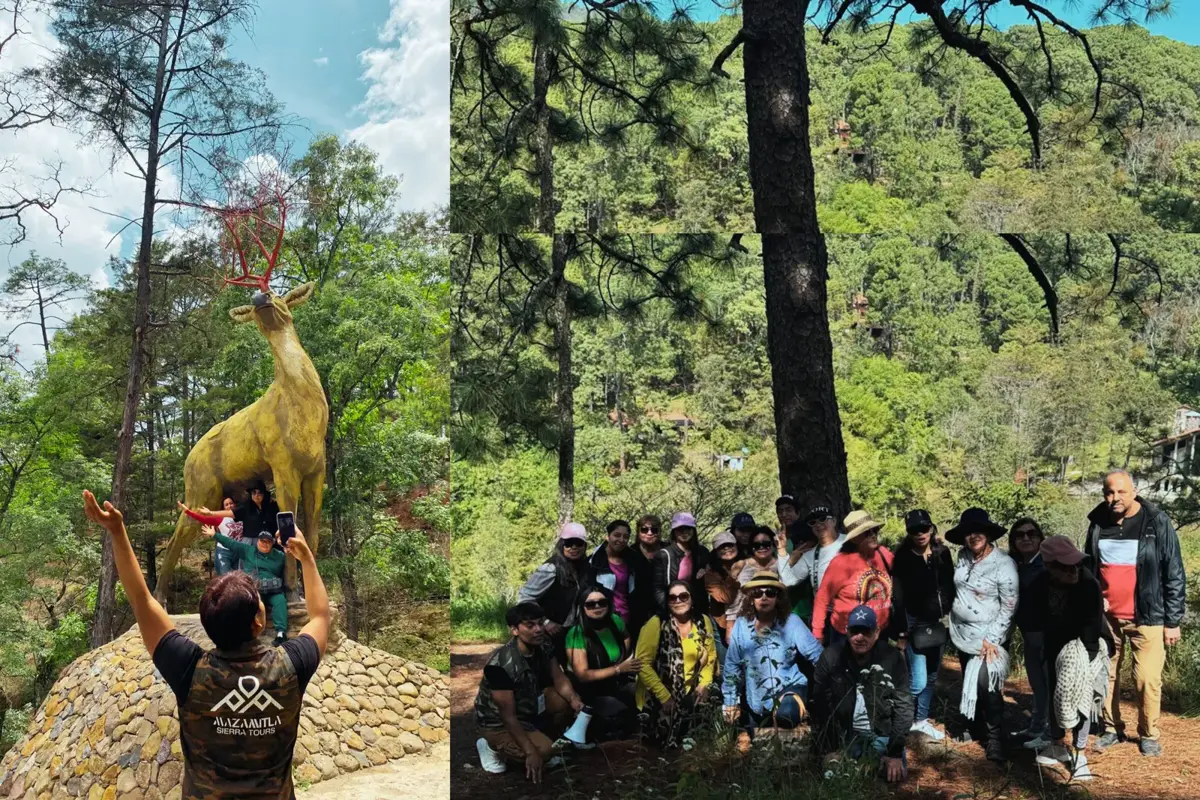 Grupo con su guía en el bosque